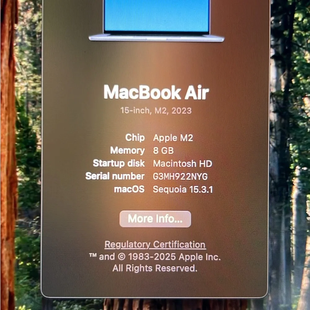 Apple MacBook - Silver
